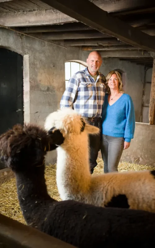 2d8f02e572ddd4d973ddb412067edb7a-1874x2500 2d8f02e572ddd4d973ddb412067edb7a-1874x2500